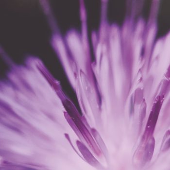 Creating Your Brand - 10 Ways to be Memorable 