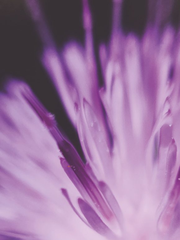 Creating Your Brand - 10 Ways to be Memorable 