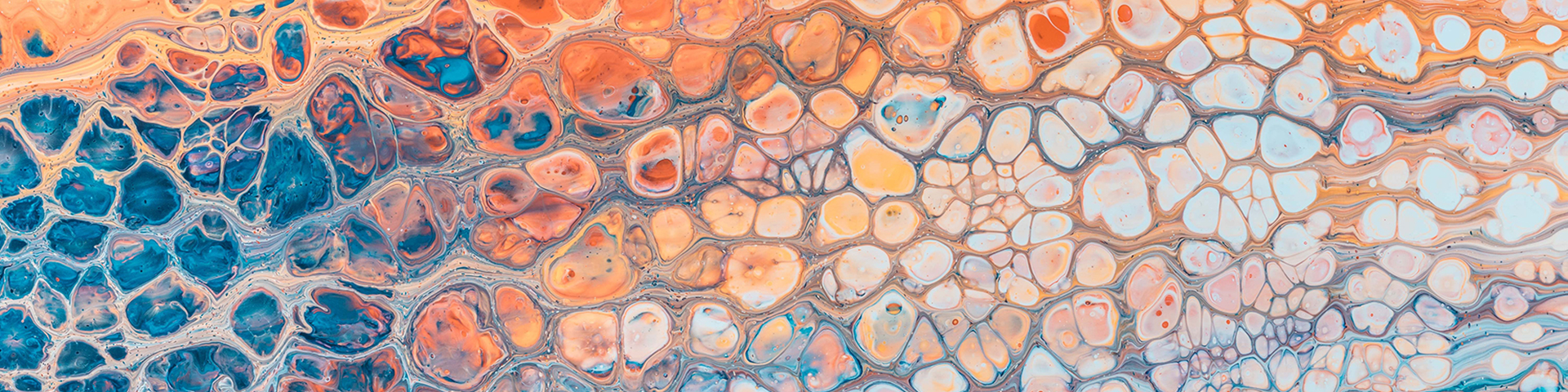 Creative Consultancy